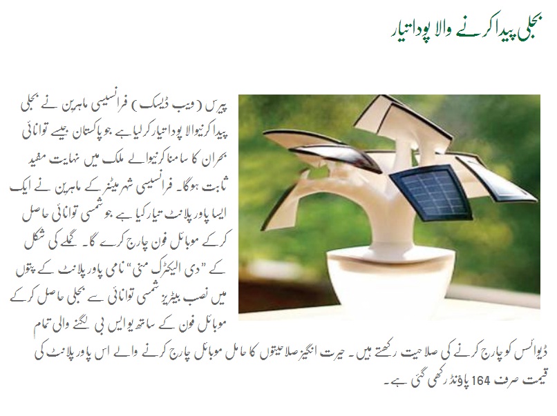 Create A Plant to Generate Electricity!